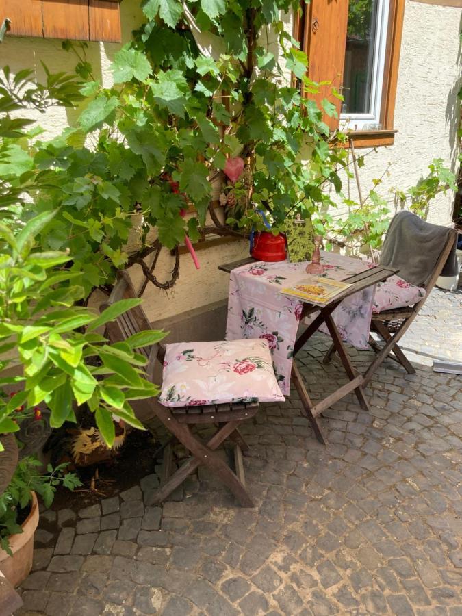 Tante Berg B&B Bad Vilbel Bagian luar foto