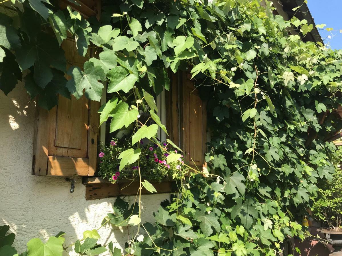 Tante Berg B&B Bad Vilbel Bagian luar foto